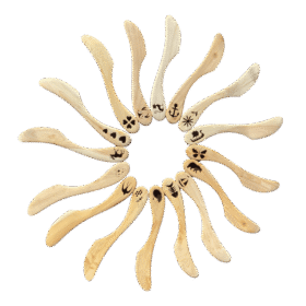 KADAKAST LASERPILDIGA VÕINUGA