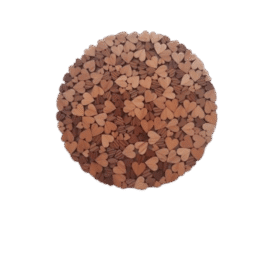 väikeste südametega kuumaalus