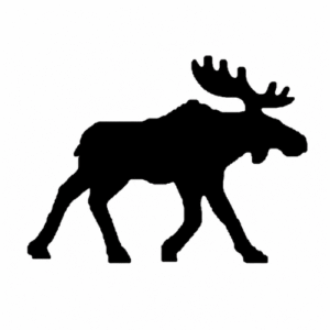 Põder