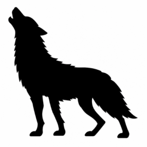 Hunt